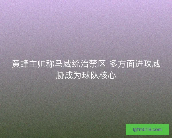 黄蜂主帅称马威统治禁区 多方面进攻威胁成为球队核心